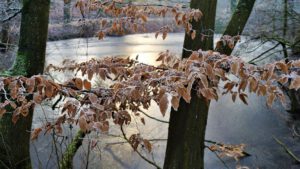 Winter in Gelsenkirchen-Buer im Februar 2021