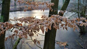 Stadwald Gelsenkirchen-Buer