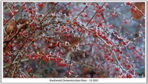 Winter in Gelsenkirchen-Buer im Februar 2021