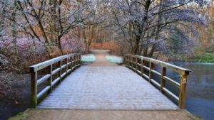 Stadwald Gelsenkirchen-Buer