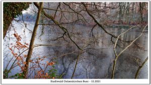 Stadwald Gelsenkirchen-Buer