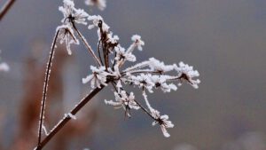 Winter in Gelsenkirchen-Buer im Februar 2021