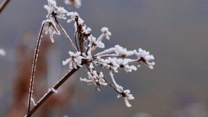 Stadwald Gelsenkirchen-Buer