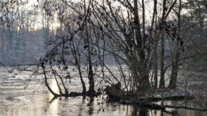 Winter in Gelsenkirchen-Buer im Februar 2021