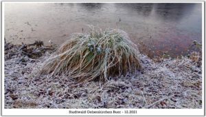 Winter in Gelsenkirchen-Buer im Februar 2021