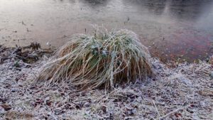 Winter in Gelsenkirchen-Buer im Februar 2021