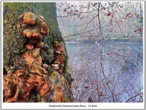 Winter in Gelsenkirchen-Buer im Februar 2021