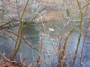 Winter in Gelsenkirchen-Buer im Februar 2021