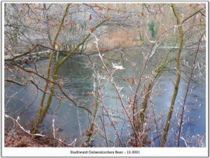 Stadwald Gelsenkirchen-Buer