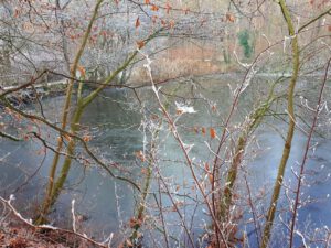 Stadwald Gelsenkirchen-Buer