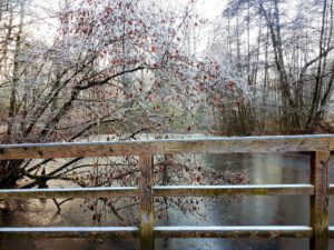 Winter in Gelsenkirchen-Buer im Februar 2021