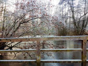 Stadwald Gelsenkirchen-Buer