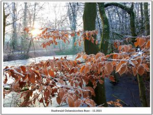 Winter in Gelsenkirchen-Buer im Februar 2021
