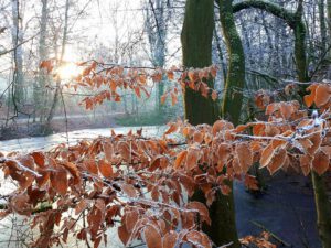 Winter in Gelsenkirchen-Buer im Februar 2021