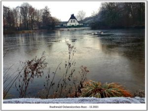 Stadwald Gelsenkirchen-Buer