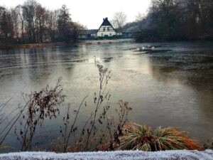 Stadwald Gelsenkirchen-Buer