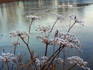 Winter in Gelsenkirchen-Buer im Februar 2021