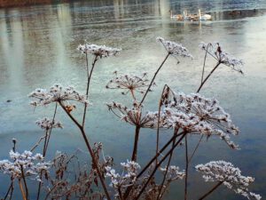 Stadwald Gelsenkirchen-Buer