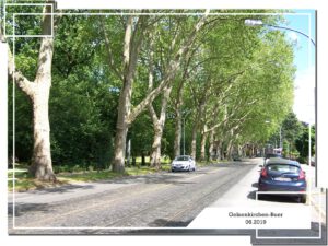 Gelsenkirchen-Buer 30 Gelsenkirchen-Buer im Juni 2019