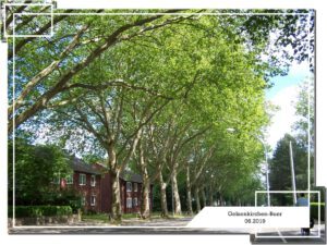 Gelsenkirchen-Buer 31 Gelsenkirchen-Buer im Juni 2019