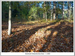Stadwald Gelsenkirchen-Buer
