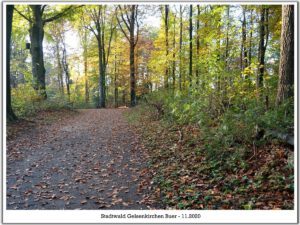 Stadwald Gelsenkirchen-Buer