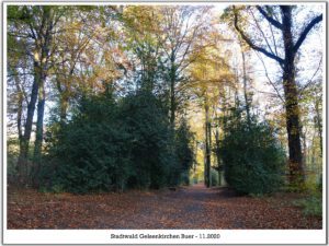 Stadwald Gelsenkirchen-Buer