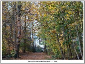 Stadwald Gelsenkirchen-Buer