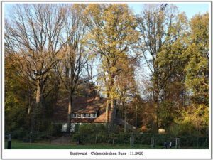 Stadwald Gelsenkirchen-Buer