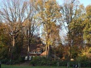 Stadwald Gelsenkirchen-Buer