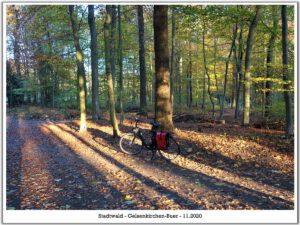 Stadwald Gelsenkirchen-Buer