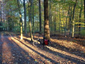 Stadwald Gelsenkirchen-Buer