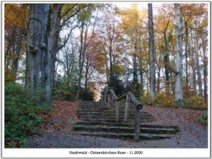 Stadwald Gelsenkirchen-Buer