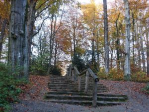 Stadwald Gelsenkirchen-Buer