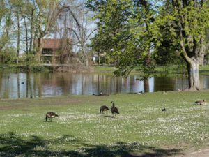Gelsenkirchen-Bulmke Hüllen im April 2020