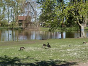 Gelsenkirchen-Bulmke Hüllen im April 2020