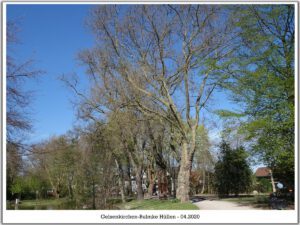 Gelsenkirchen-Bulmke Hüllen im April 2020