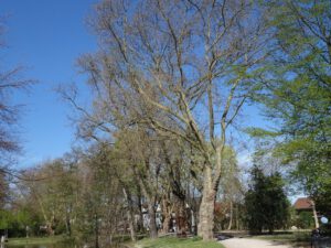 Gelsenkirchen-Bulmke Hüllen im April 2020