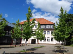 Gelsenkirchen Erle im Mai 2020