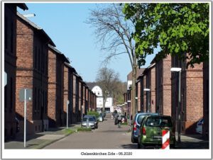 Gelsenkirchen Erle im Mai 2020