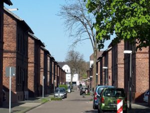 Gelsenkirchen Erle im Mai 2020