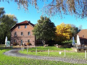 Gelsenkirchen Erle im Oktober 2020