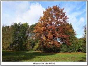 Gelsenkirchen Erle im Oktober 2020