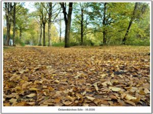 Gelsenkirchen Erle im Oktober 2020