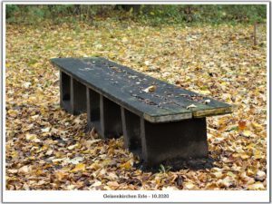 Gelsenkirchen Erle im Oktober 2020