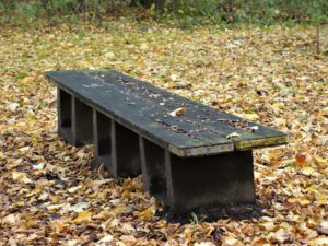 Gelsenkirchen Erle im Oktober 2020