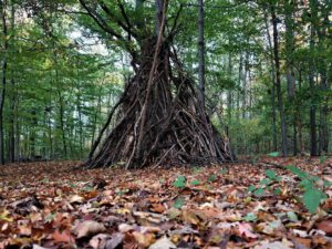 Gelsenkirchen Erle im Oktober 2020