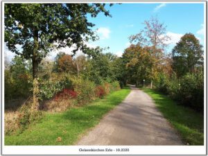 Gelsenkirchen Erle im Oktober 2020