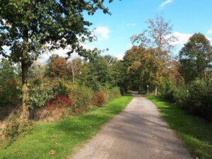 Gelsenkirchen Erle im Oktober 2020