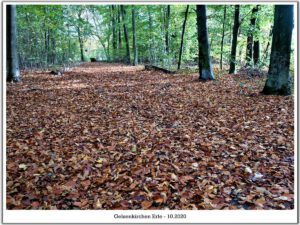 Gelsenkirchen Erle im Oktober 2020